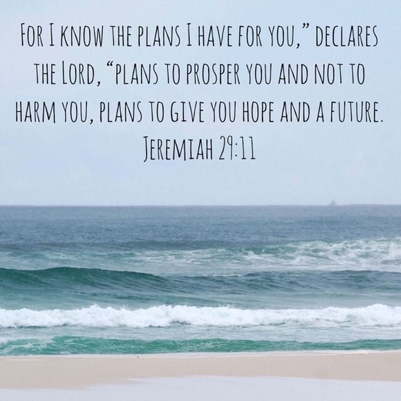 Meet your Posher, Audrey - Picture 4 of 4